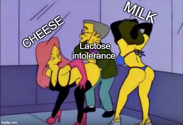 Smithers vs Strippers | MILK; CHEESE; Lactose intolerance | image tagged in smithers vs strippers,dank meme,too dank | made w/ Imgflip meme maker