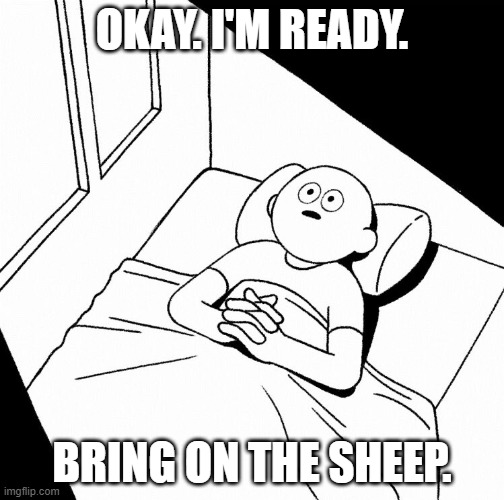 Overthinking | OKAY. I'M READY. BRING ON THE SHEEP. | image tagged in overthinking | made w/ Imgflip meme maker