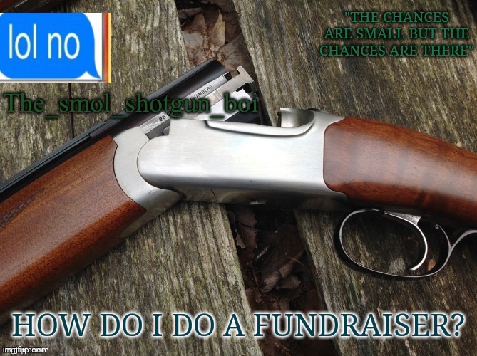 Smol shotgun boi temp | HOW DO I DO A FUNDRAISER? | image tagged in smol shotgun boi temp | made w/ Imgflip meme maker