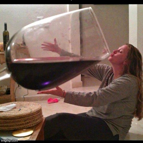 Wine Drinker | image tagged in wine drinker | made w/ Imgflip meme maker