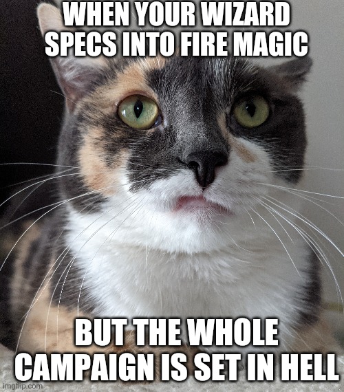WHEN YOUR WIZARD SPECS INTO FIRE MAGIC; BUT THE WHOLE CAMPAIGN IS SET IN HELL | image tagged in DnD | made w/ Imgflip meme maker
