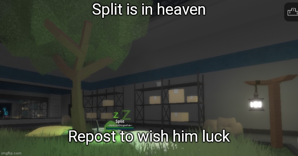 F in the chat lil buddy | Split is in heaven; Repost to wish him luck | image tagged in rainbow bean | made w/ Imgflip meme maker