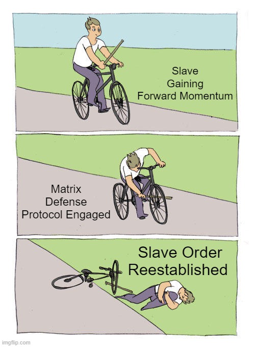 Bike Fall | Slave Gaining Forward Momentum; Matrix Defense Protocol Engaged; Slave Order Reestablished | image tagged in memes,bike fall | made w/ Imgflip meme maker