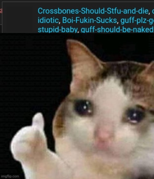 I just realized there's two | image tagged in crying thumbs up | made w/ Imgflip meme maker