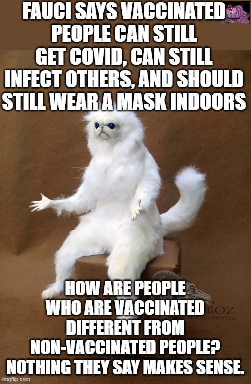 Yet somehow, the non-vaccinated are the problem. | FAUCI SAYS VACCINATED PEOPLE CAN STILL GET COVID, CAN STILL INFECT OTHERS, AND SHOULD STILL WEAR A MASK INDOORS; HOW ARE PEOPLE WHO ARE VACCINATED DIFFERENT FROM NON-VACCINATED PEOPLE? NOTHING THEY SAY MAKES SENSE. | image tagged in memes,persian cat room guardian single | made w/ Imgflip meme maker