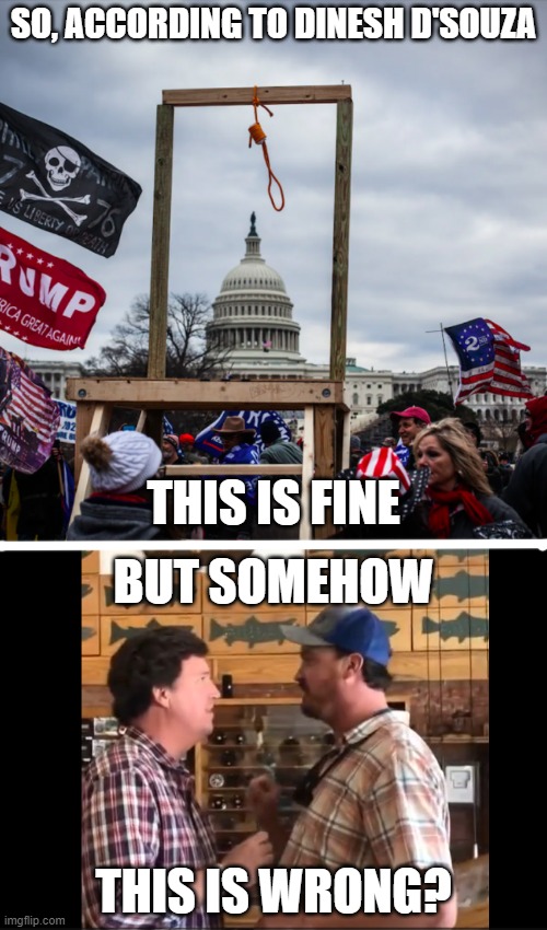 SO, ACCORDING TO DINESH D'SOUZA; THIS IS FINE; BUT SOMEHOW; THIS IS WRONG? | image tagged in capitol riot gallows noose pence | made w/ Imgflip meme maker