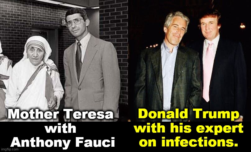 Dr. Anthony Fauci is an American hero. | Mother Teresa 
with 
Anthony Fauci; Donald Trump with his expert on infections. | image tagged in mother teresa,dr fauci,donald trump,jeffrey epstein,comparison | made w/ Imgflip meme maker