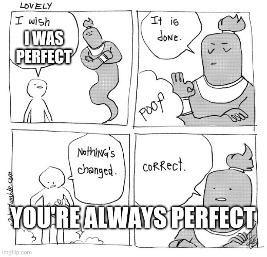 I Wish Genie Nothing's Changed | I WAS PERFECT; YOU'RE ALWAYS PERFECT | image tagged in i wish genie nothing's changed | made w/ Imgflip meme maker