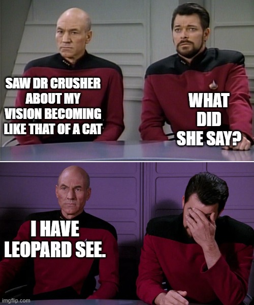 Picard Riker listening to a pun | SAW DR CRUSHER ABOUT MY VISION BECOMING LIKE THAT OF A CAT; WHAT DID SHE SAY? I HAVE LEOPARD SEE. | image tagged in picard riker listening to a pun | made w/ Imgflip meme maker