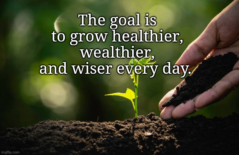  The goal is to grow healthier, wealthier, and wiser every day. | image tagged in inspiration | made w/ Imgflip meme maker