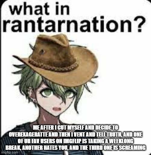 what in rantarnation | ME AFTER I CUT MYSELF AND DECIDE TO OVEREXAGERATTE AND THEN I VENT AND TELL TRUTH, AND ONE OF UR FAV USERS ON IMGFLIP IS TAKING A WEEKLONG BREAK, ANOTHER HATES YOU, AND THE THIRD ONE IS SCREAMING | image tagged in what in rantarnation | made w/ Imgflip meme maker