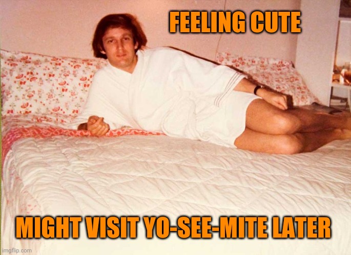 Trump Bed | FEELING CUTE; MIGHT VISIT YO-SEE-MITE LATER | image tagged in trump bed | made w/ Imgflip meme maker