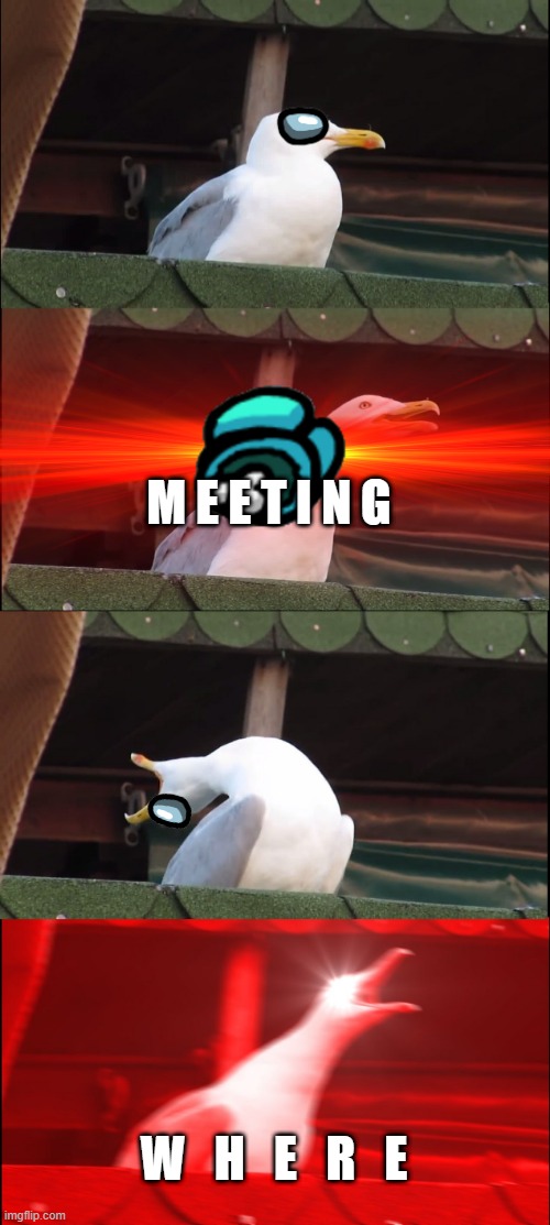 Inhaling Seagull | M E E T I N G; W   H   E   R   E | image tagged in memes,inhaling seagull | made w/ Imgflip meme maker