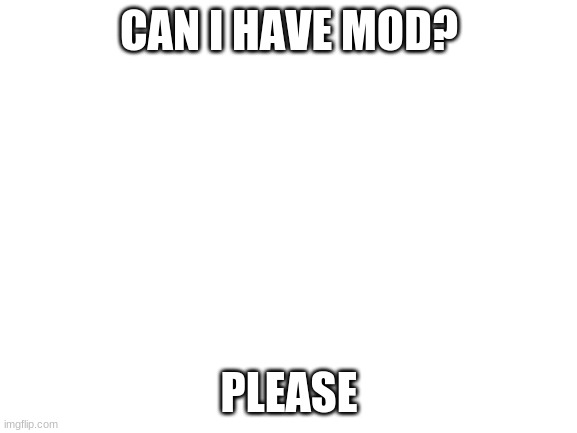 i'm not begging for mod, i'm just asking | CAN I HAVE MOD? PLEASE | image tagged in blank white template | made w/ Imgflip meme maker