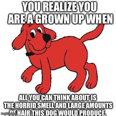 YOU REALIZE YOU ARE A GROWN UP WHEN ALL YOU CAN THINK ABOUT IS THE HORRID SMELL AND LARGE AMOUNTS OF HAIR THIS DOG WOULD PRODUCE. | made w/ Imgflip meme maker