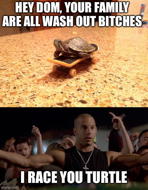 fast vs slow | HEY DOM, YOUR FAMILY ARE ALL WASH OUT BITCHES; I RACE YOU TURTLE | image tagged in turltl sk8tr,fast and furious winning is winning | made w/ Imgflip meme maker