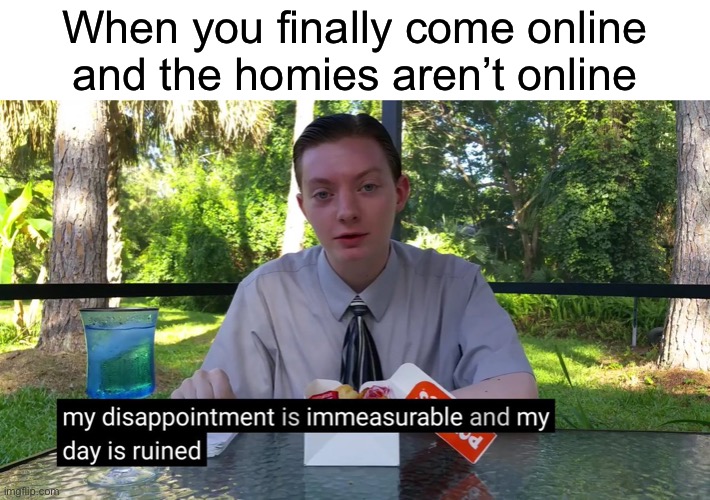 My Disappointment Is Immeasurable | When you finally come online and the homies aren’t online | image tagged in my disappointment is immeasurable | made w/ Imgflip meme maker