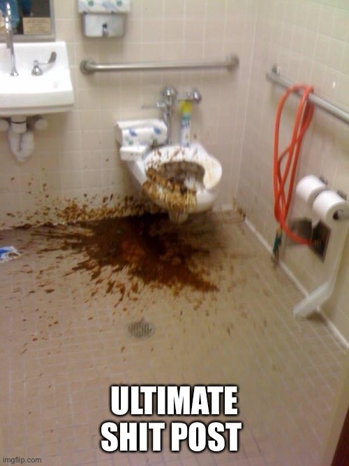 Shit post | ULTIMATE SHIT POST | image tagged in girls poop too | made w/ Imgflip meme maker
