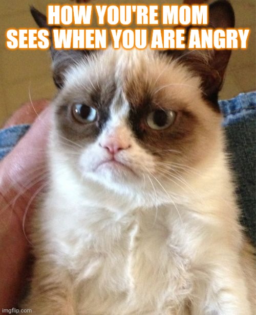 Grumpy Cat Meme | HOW YOU'RE MOM SEES WHEN YOU ARE ANGRY | image tagged in memes,grumpy cat | made w/ Imgflip meme maker