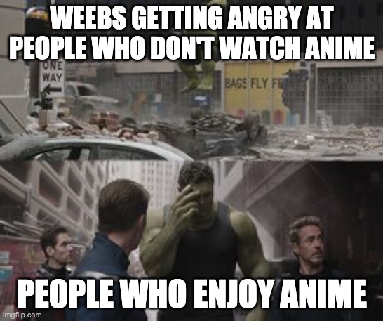 Ashamed Hulk | WEEBS GETTING ANGRY AT PEOPLE WHO DON'T WATCH ANIME; PEOPLE WHO ENJOY ANIME | image tagged in ashamed hulk | made w/ Imgflip meme maker