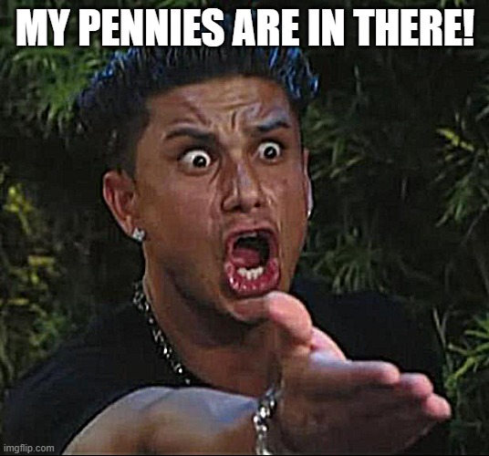 DJ Pauly D Meme | MY PENNIES ARE IN THERE! | image tagged in memes,dj pauly d | made w/ Imgflip meme maker