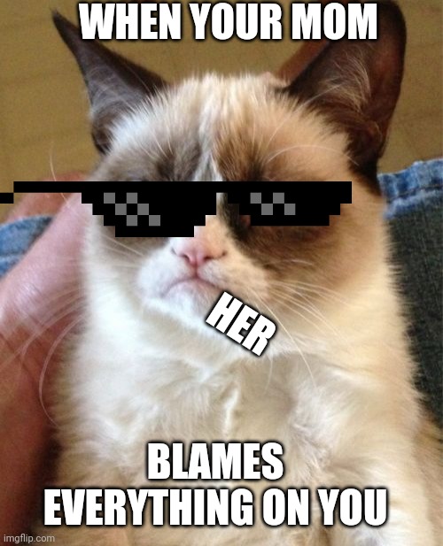 Grumpy Cat | WHEN YOUR MOM; HER; BLAMES EVERYTHING ON YOU | image tagged in memes,grumpy cat | made w/ Imgflip meme maker