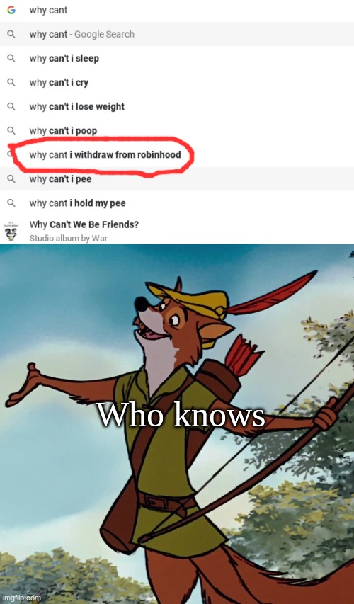who is googling this and what does it mean |  Who knows | image tagged in robinhood | made w/ Imgflip meme maker