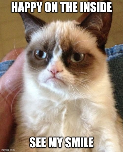 Hello | HAPPY ON THE INSIDE; SEE MY SMILE | image tagged in memes,grumpy cat | made w/ Imgflip meme maker