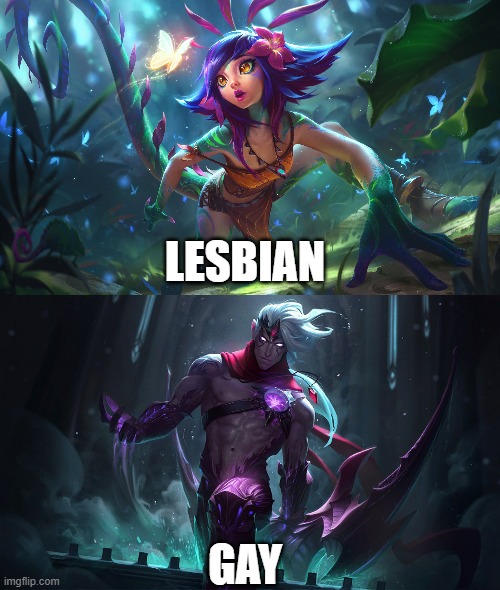 Anyone else play LOL? (Canon) | LESBIAN; GAY | image tagged in canon,lgbt,gaymer,league of legends,lol | made w/ Imgflip meme maker