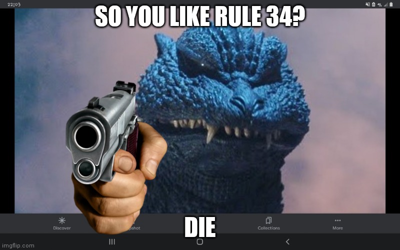 die rule 34 | SO YOU LIKE RULE 34? DIE | image tagged in godzilla has never seen such dog piss before,rule 34,die,godzilla | made w/ Imgflip meme maker