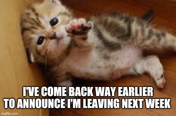 Goodbye everyone | I'VE COME BACK WAY EARLIER TO ANNOUNCE I'M LEAVING NEXT WEEK | image tagged in sad kitten goodbye | made w/ Imgflip meme maker