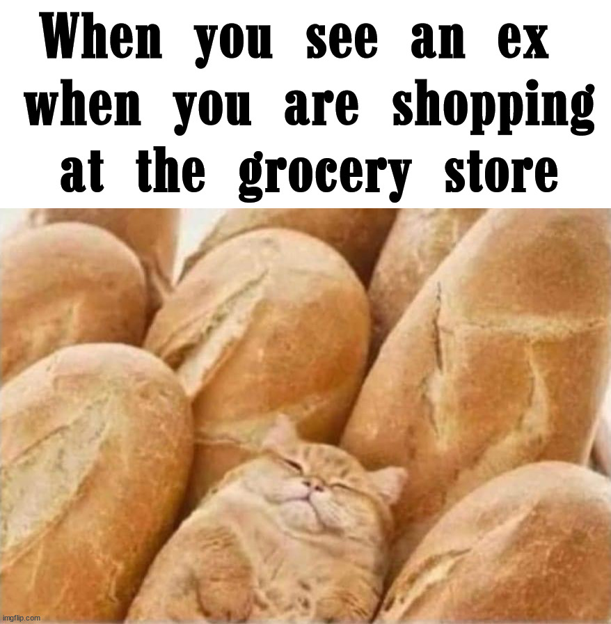 Trying to not be seen |  When you see an ex 
when you are shopping at the grocery store | image tagged in hide,incognito,camouflage,hiding,ex girlfriend,ex boyfriend | made w/ Imgflip meme maker