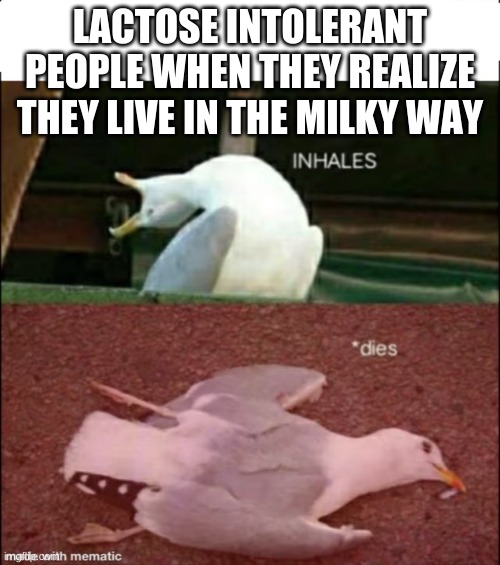 oof | LACTOSE INTOLERANT PEOPLE WHEN THEY REALIZE THEY LIVE IN THE MILKY WAY | image tagged in inhales dies | made w/ Imgflip meme maker