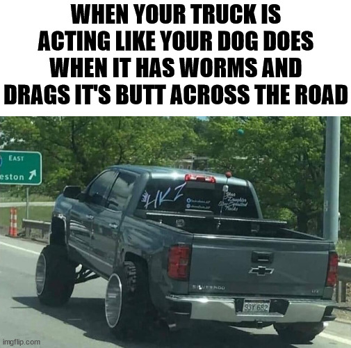 WHEN YOUR TRUCK IS ACTING LIKE YOUR DOG DOES WHEN IT HAS WORMS AND DRAGS IT'S BUTT ACROSS THE ROAD | image tagged in car memes | made w/ Imgflip meme maker