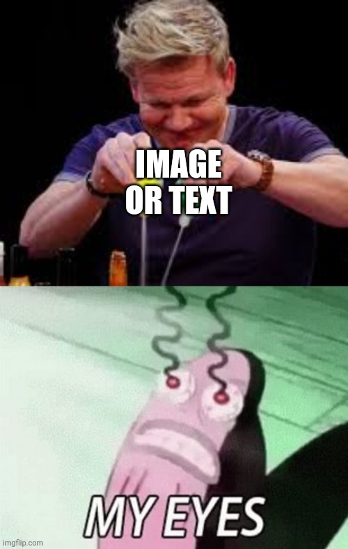 Gordon Ramsay burns Fred's eyes | IMAGE OR TEXT | image tagged in gordon ramsay burns fred's eyes | made w/ Imgflip meme maker