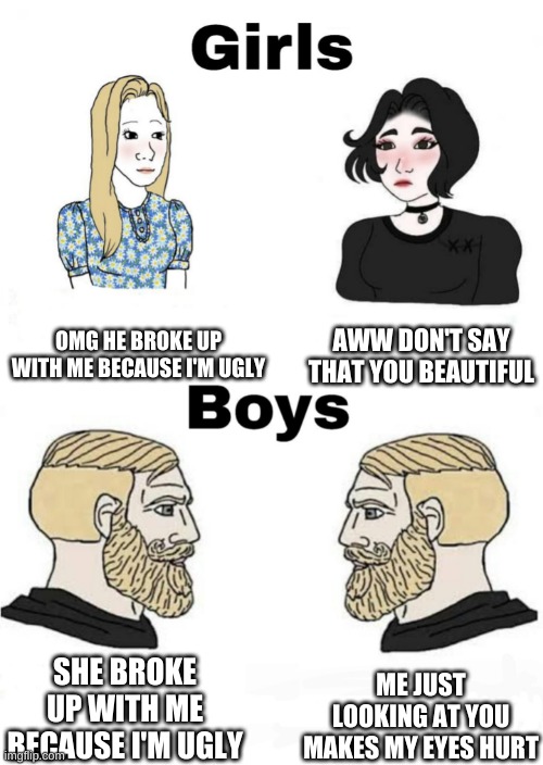 Girls vs Boys | OMG HE BROKE UP WITH ME BECAUSE I'M UGLY; AWW DON'T SAY THAT YOU BEAUTIFUL; ME JUST LOOKING AT YOU MAKES MY EYES HURT; SHE BROKE UP WITH ME BECAUSE I'M UGLY | image tagged in girls vs boys | made w/ Imgflip meme maker