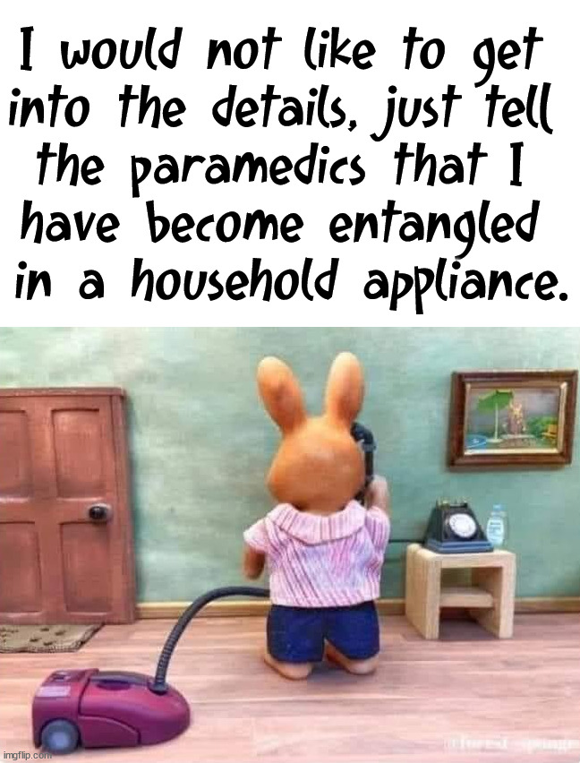 I would not like to get 
into the details, just tell 
the paramedics that I 
have become entangled 
in a household appliance. | image tagged in dark humor | made w/ Imgflip meme maker