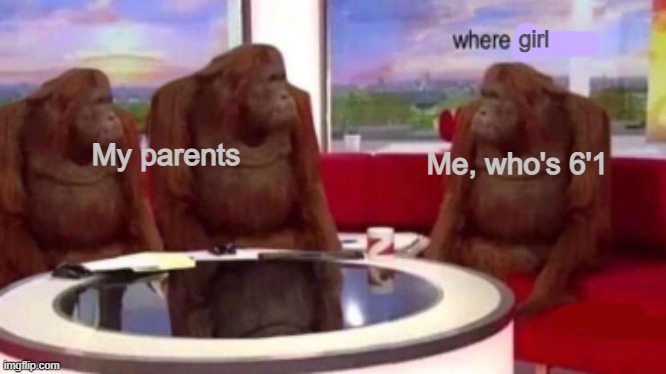 where girl? (no im not actually 6'1) | girl; My parents; Me, who's 6'1 | image tagged in where banana blank,funny memes | made w/ Imgflip meme maker