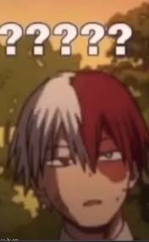 Me when someone asks who Shoto Todoroki is | image tagged in mha,anime,shotooooo | made w/ Imgflip meme maker