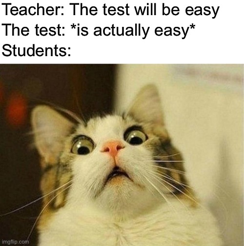 Normally that’s never the case | Teacher: The test will be easy; The test: *is actually easy*; Students: | image tagged in memes,scared cat | made w/ Imgflip meme maker