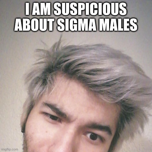 Papa Lxst Is Suspicious About X | I AM SUSPICIOUS ABOUT SIGMA MALES | image tagged in papa lxst is suspicious about x,papalxst,papa lxst,youtubers,singers,musicians | made w/ Imgflip meme maker