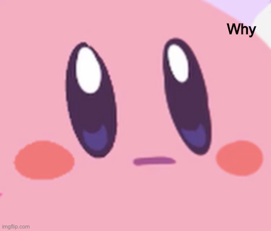 Blank Kirby Face | Why | image tagged in blank kirby face | made w/ Imgflip meme maker