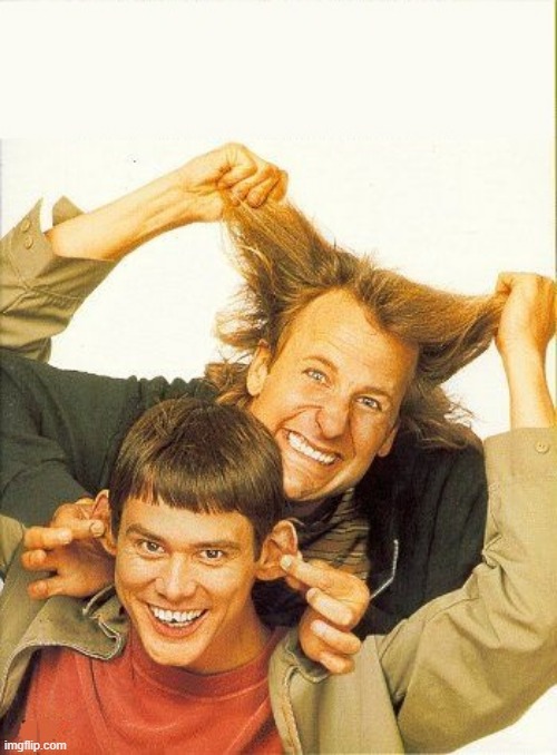 DUMB and dumber | image tagged in dumb and dumber | made w/ Imgflip meme maker