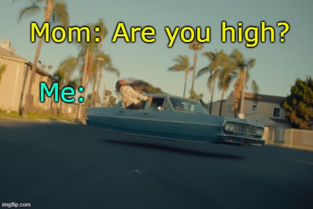 . | Mom: Are you high? Me: | made w/ Imgflip meme maker