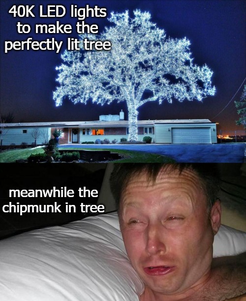 40K LED lights to make the perfectly lit tree; meanwhile the chipmunk in tree | image tagged in chippy | made w/ Imgflip meme maker