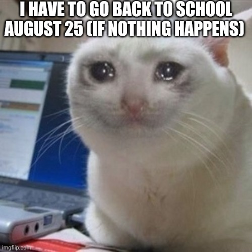 But At Least I'm A Senior This Year | I HAVE TO GO BACK TO SCHOOL AUGUST 25 (IF NOTHING HAPPENS) | image tagged in crying cat | made w/ Imgflip meme maker