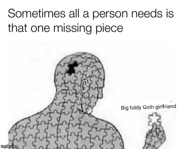 Fo real doe... | image tagged in big tiddy goth girlfriend,goth,girlfriend,gf,missing piece,dating | made w/ Imgflip meme maker