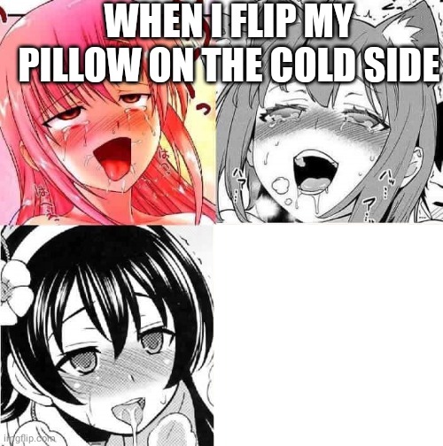 AHHHHH | WHEN I FLIP MY PILLOW ON THE COLD SIDE | image tagged in hentai faces | made w/ Imgflip meme maker