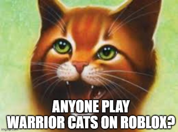 Warrior cats Firestar | ANYONE PLAY WARRIOR CATS ON ROBLOX? | image tagged in warrior cats firestar | made w/ Imgflip meme maker