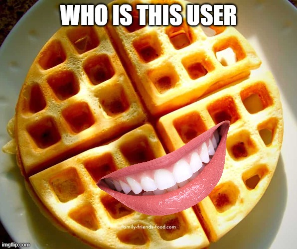 WHO IS THIS USER | made w/ Imgflip meme maker